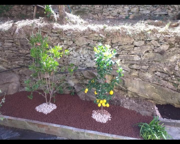 Home Green Poggio Favaro-San Bernardo Экстерьер фото